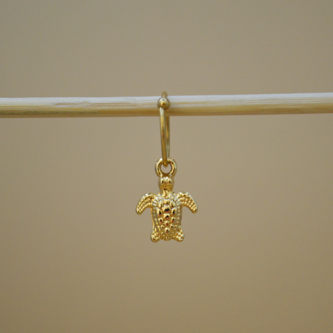 Piercing tortuga mini