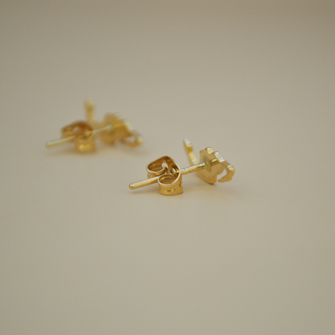 Aretes México