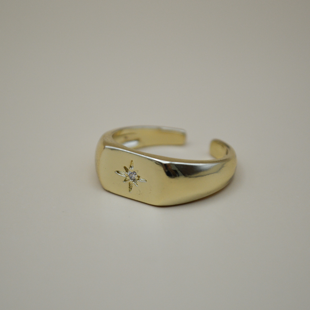 Anillo estrella zirconia ajustable
