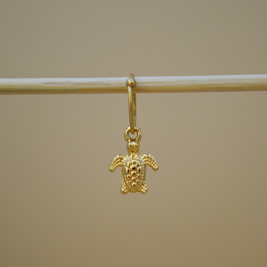 Piercing tortuga mini
