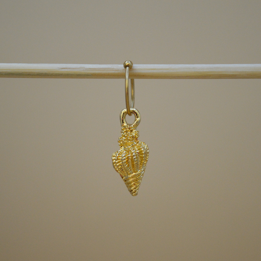 Piercing caracol