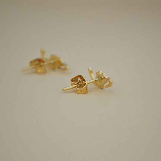 Aretes México