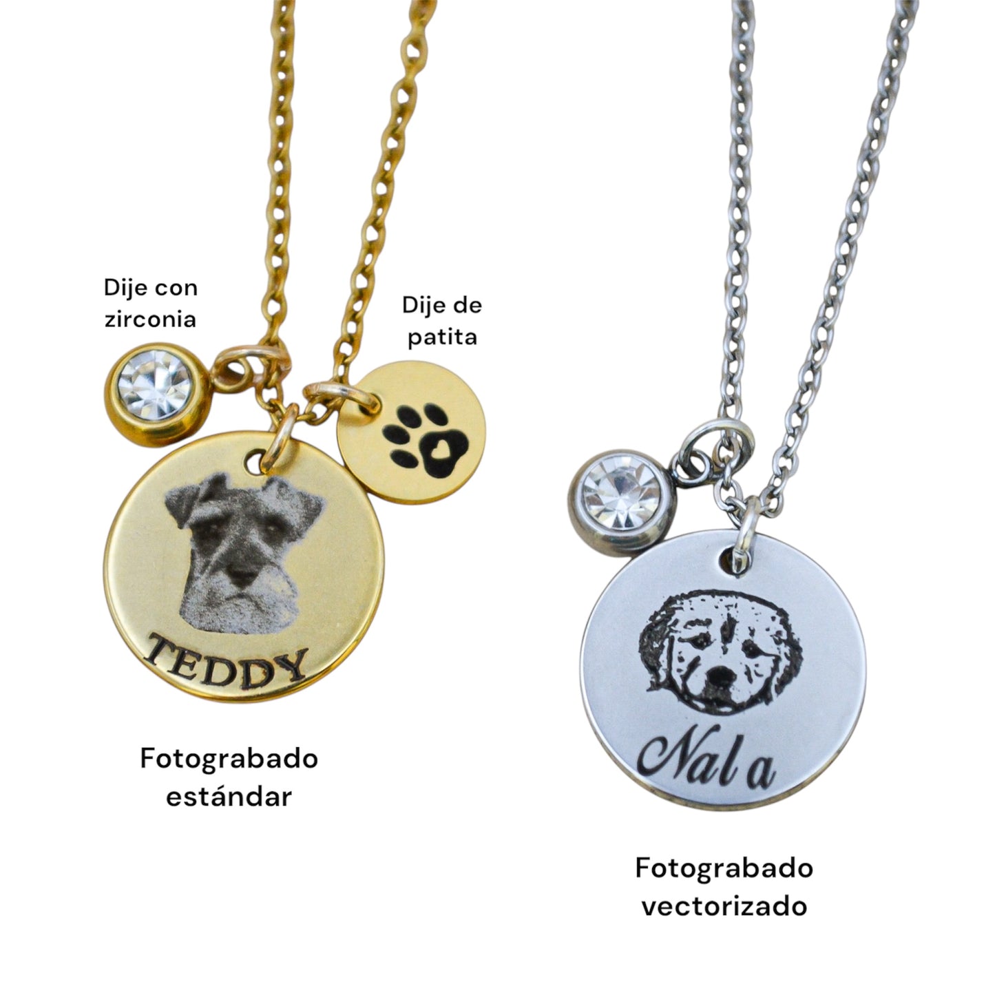 Collar o llavero personalizado con fotograbado de mascota